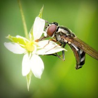 /album/otetfeso/photolia-a02-jpg/