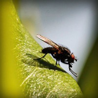 /album/otetfeso/photolia-a04-jpg/