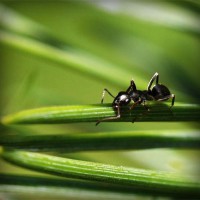 /album/otetfeso/photolia-a05-jpg/