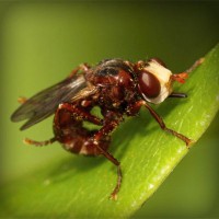 /album/otetfeso/photolia-a06-jpg/