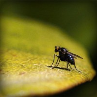 /album/otetfeso/photolia-a07-jpg/