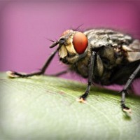 /album/otetfeso/photolia-a08-jpg/